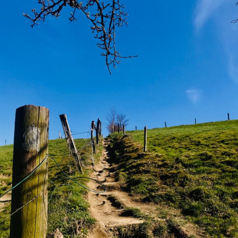 Steiler Fußweg, der einen Hügel hinaufführt unter blauem Himmel, rechts und links umzäunte Wiesen.